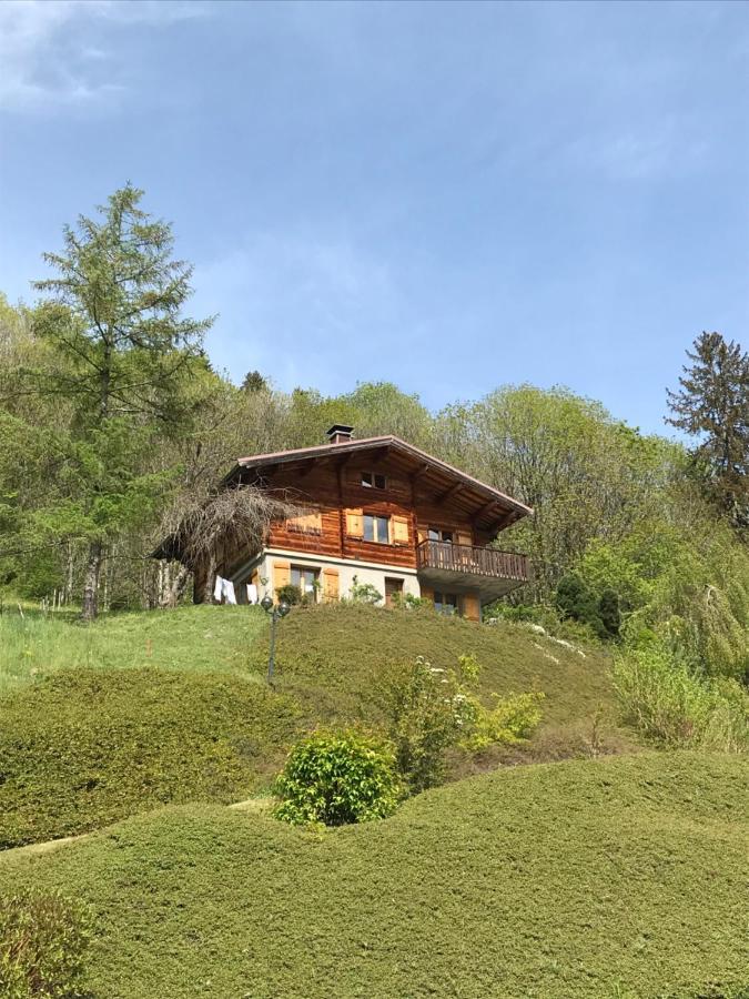 La Marmotte Qui Papote Apartment Le Grand-Bornand Bagian luar foto