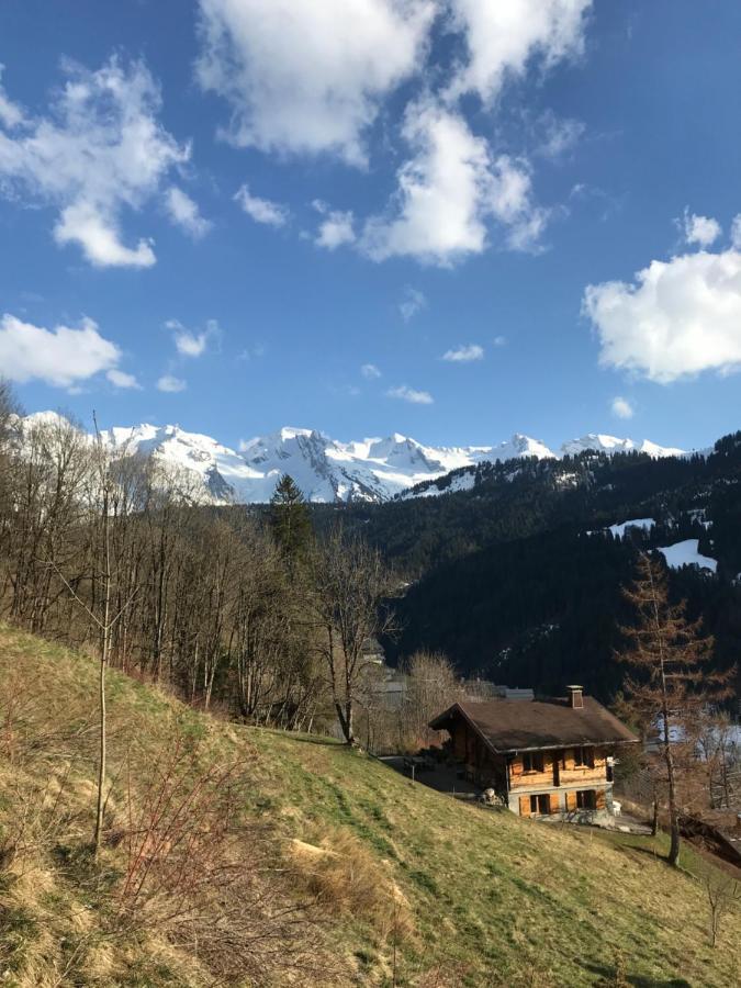 La Marmotte Qui Papote Apartment Le Grand-Bornand Bagian luar foto