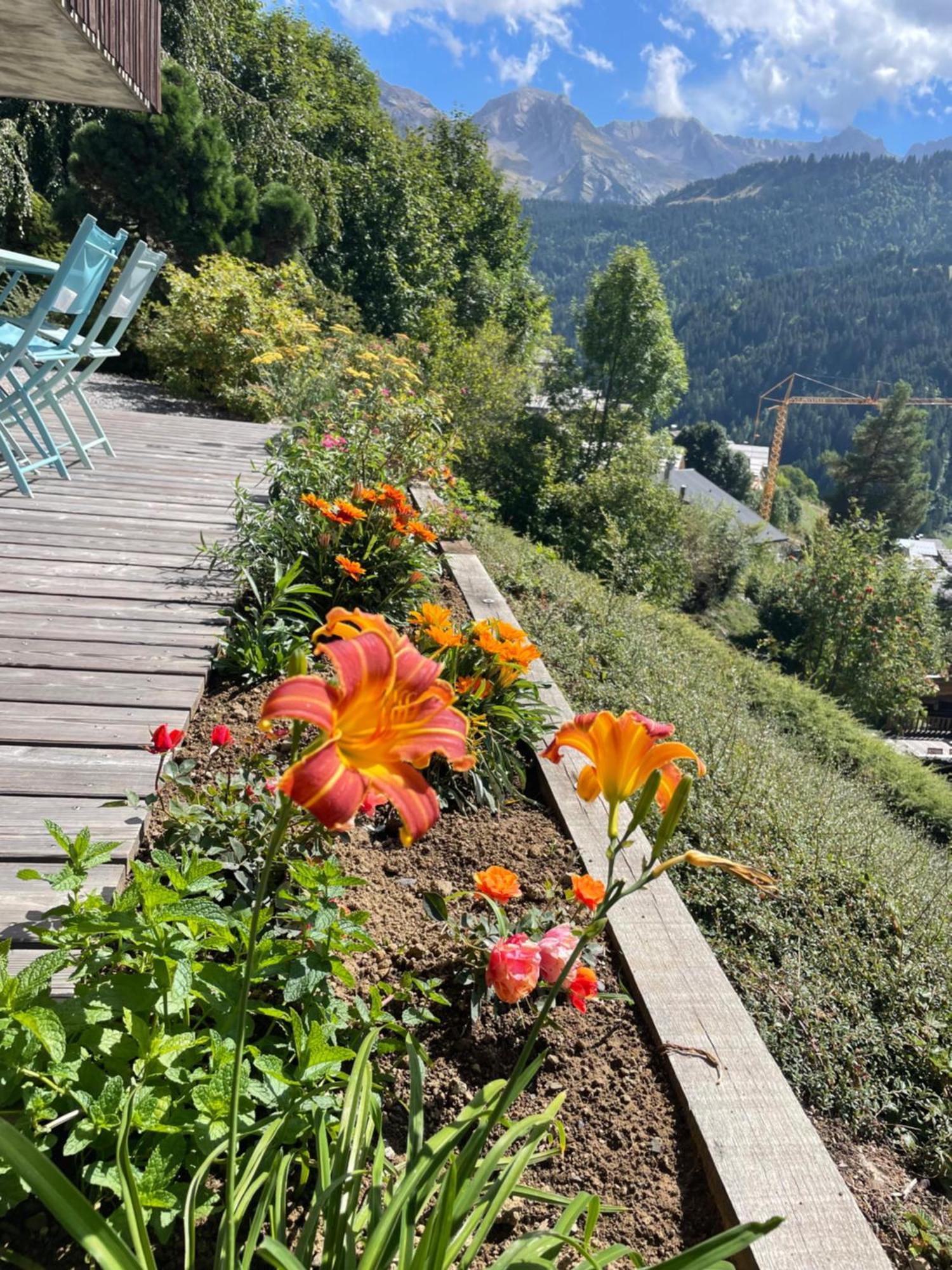 La Marmotte Qui Papote Apartment Le Grand-Bornand Bagian luar foto