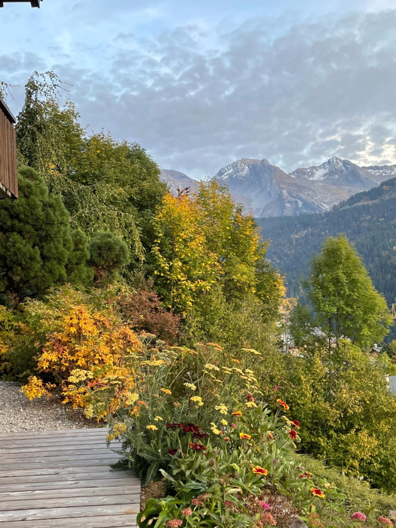 La Marmotte Qui Papote Apartment Le Grand-Bornand Bagian luar foto